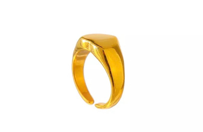 CHAPA DE ORO (A901)